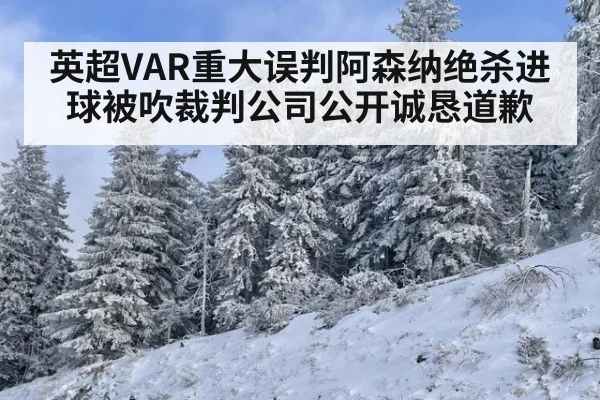 英超VAR重大误判阿森纳绝杀进球被吹裁判公司公开诚恳道歉