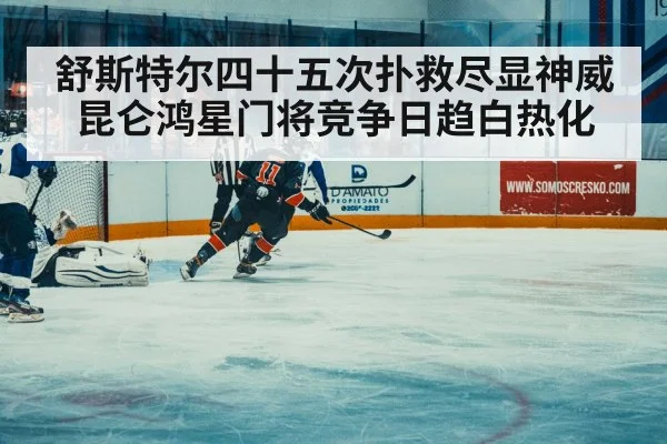 ice hockey match action